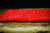 Искусственная трава IND Sports tennis pro red 15mm